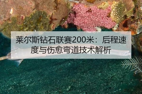 莱尔斯钻石联赛200米：后程速度与伤愈弯道技术解析